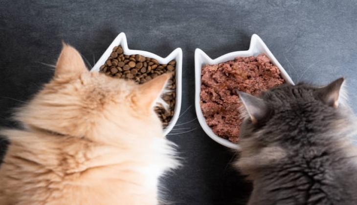  Discount chance on cat foods at Albertsons