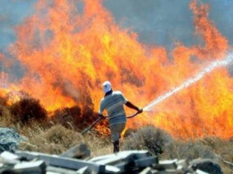  Bodrum Turgutreis'te makilik alanda yangın çıktı!