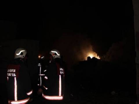  Ankara Nallıhan'da orman yangını çıktı!