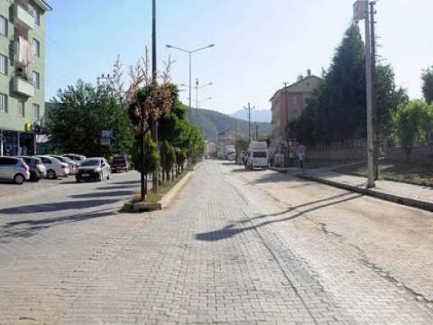 Bitlis'te bir caddeye Bediüzzaman Said Nursi'nin adı verildi!