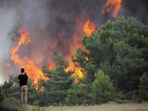  Elazığ'da orman yangını çıktı!