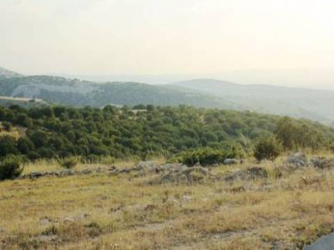 Ankara-Eskişehir Yolu Ballıkuyumcu'daki ormanlık alanı imara açılıyor!