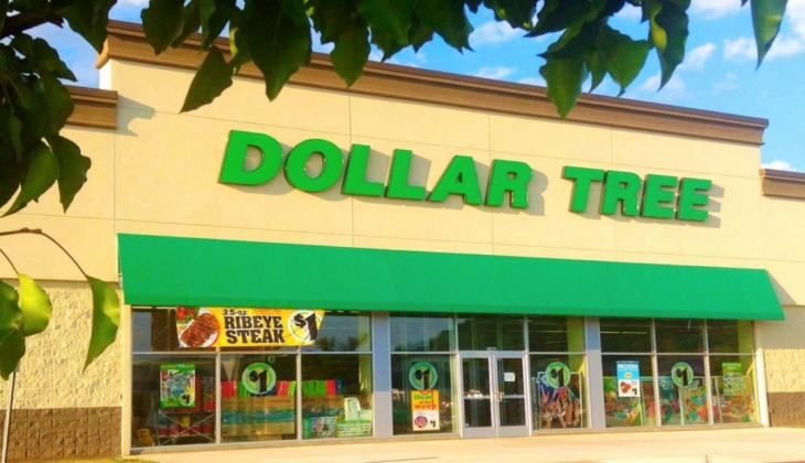  Oct 9th - Oct 22nd, 2022 catalog in Dollar Tree stores