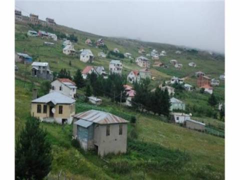  Ordu Çambaşı Yaylası'na ‘Serender Tatil Köyü’ projesi! 
