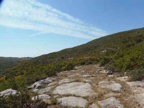 Didim Kutsal Yol turizme kazandırılacak!