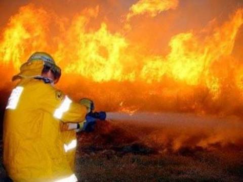 Ankara Çubuk'ta orman yangını çıktı!
