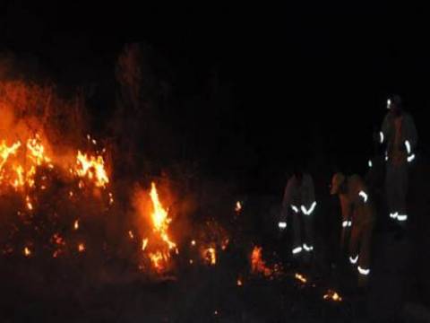  Manisa Demirci'de orman yangını!