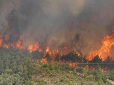  Bodrum Akyarlar Mahallesi'nde makilik alanda çıkan yangın söndürüldü!