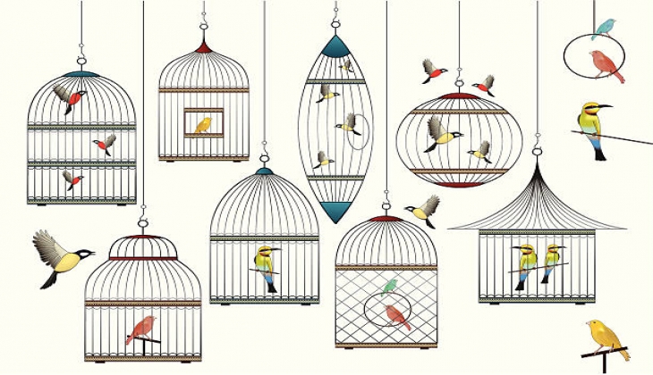  Discount on many bird cage at Amazon