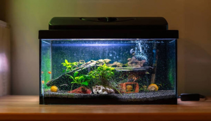  Deals Prices of Aquarium Products in Amazon! Don't miss these...