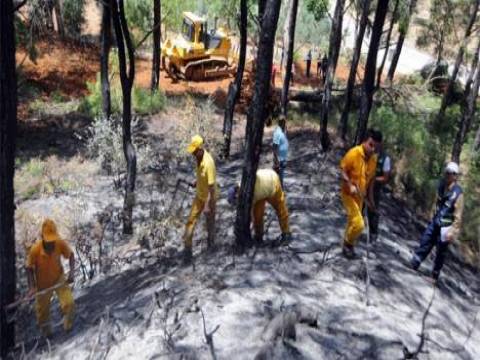 Antalya Adrasan'da 120 hektar kızılçam ormanı yandı!