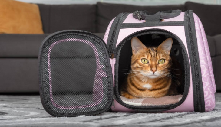  Save up to 44% on pet travel carrier bags in the Amazon
