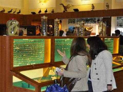 Bursa Uludağ Üniversitesi'nde Zooloji Müzesi açıldı!